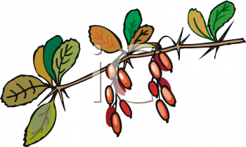 Grass and Tree Clipart