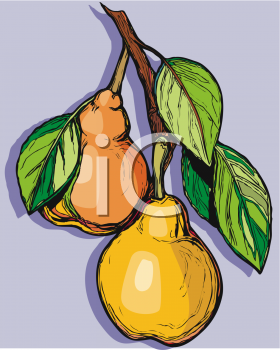 Nature and Scenic Clipart