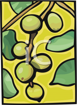 Nature and Scenic Clipart