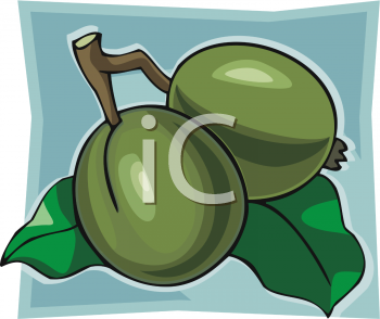 Nature and Scenic Clipart