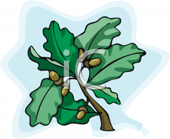 Nature and Scenic Clipart