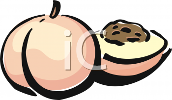 Food Clipart