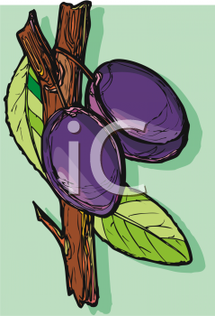 Nature and Scenic Clipart