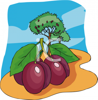 Nature and Scenic Clipart