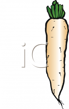 Food Clipart