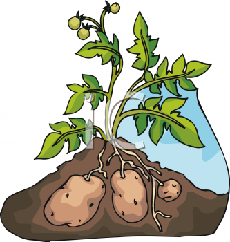 Farm Produce Clipart