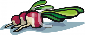 Food Clipart