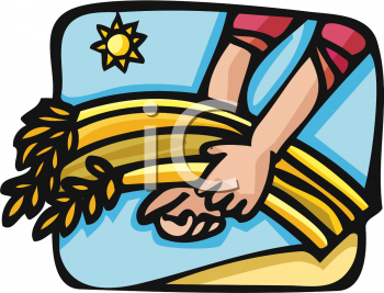 Farm Produce Clipart