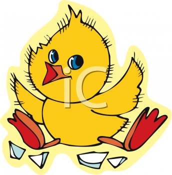 Bird Clipart
