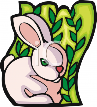 Pet Clipart
