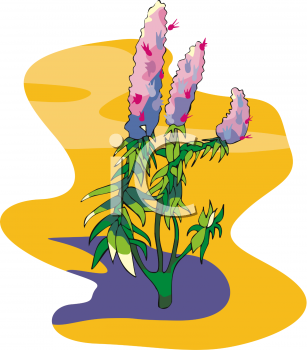 Nature and Scenic Clipart