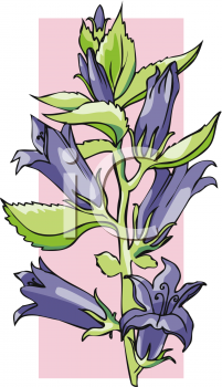 Nature and Scenic Clipart