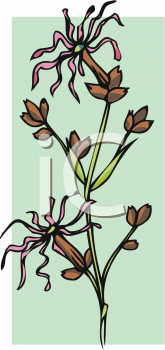 Nature and Scenic Clipart