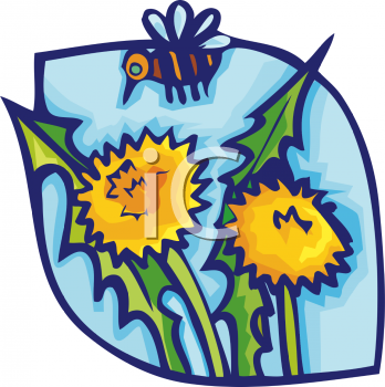 Insect Clipart