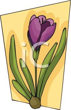 Flower Clipart