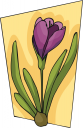 Flower Clipart