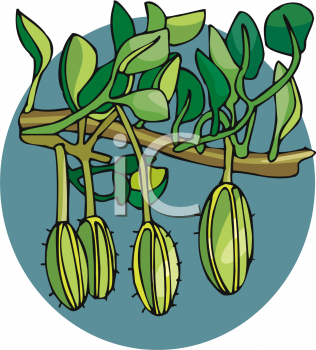 Nature and Scenic Clipart