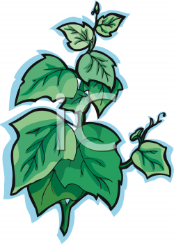 Nature and Scenic Clipart