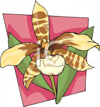 Nature and Scenic Clipart