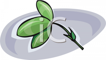 Nature and Scenic Clipart