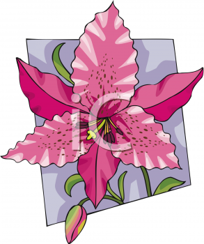 Nature and Scenic Clipart