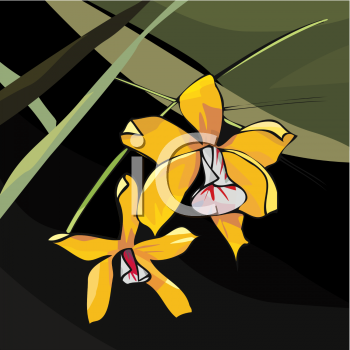 Nature and Scenic Clipart