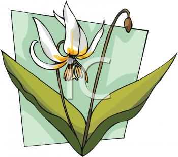 Nature and Scenic Clipart