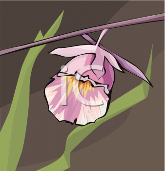 Nature and Scenic Clipart