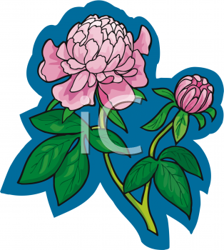 Flower Clipart