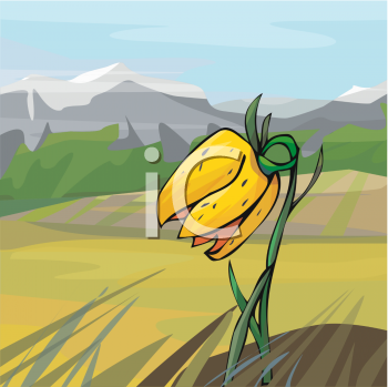 Nature and Scenic Clipart