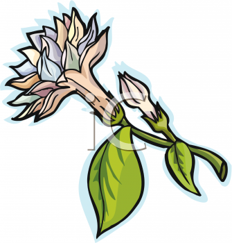 Nature and Scenic Clipart