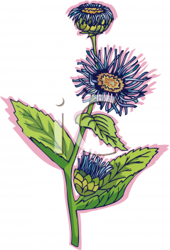 Nature and Scenic Clipart