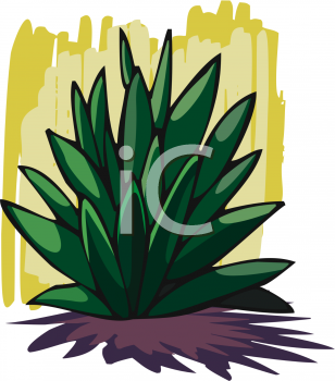 Nature and Scenic Clipart