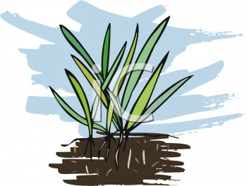 Nature and Scenic Clipart