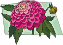 Flower Clipart