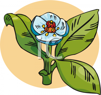 Nature and Scenic Clipart