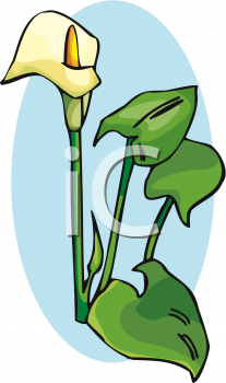 Nature and Scenic Clipart