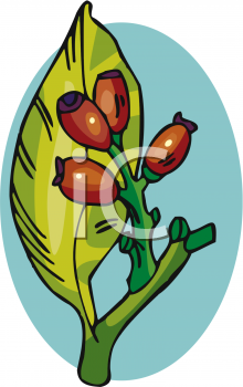 Nature and Scenic Clipart