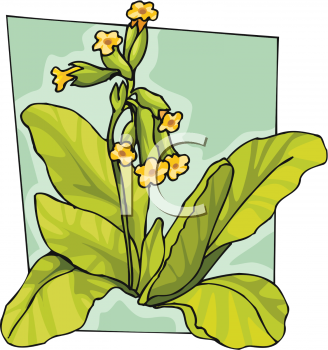 Nature and Scenic Clipart