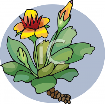 Nature and Scenic Clipart
