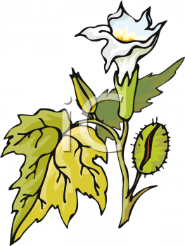 Nature and Scenic Clipart