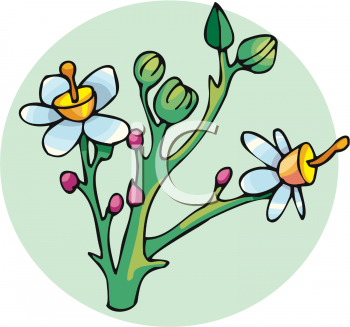 Nature and Scenic Clipart