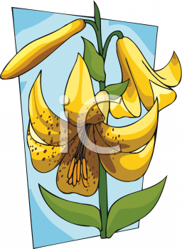 Nature and Scenic Clipart