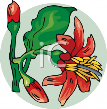 Nature and Scenic Clipart