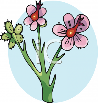Nature and Scenic Clipart