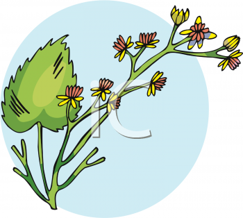 Nature and Scenic Clipart