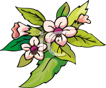 Nature and Scenic Clipart