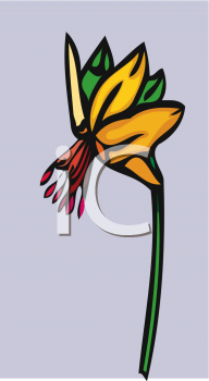 Nature and Scenic Clipart