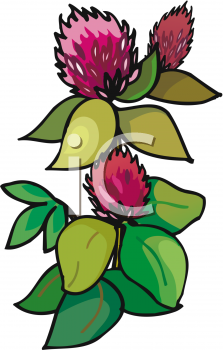 Nature and Scenic Clipart