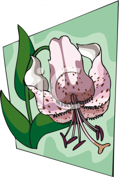 Nature and Scenic Clipart